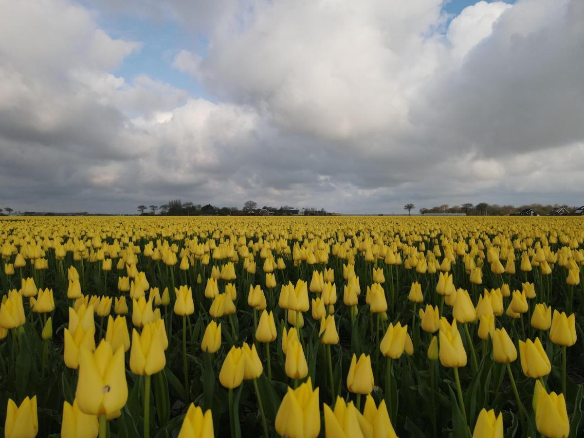 Camping De Tulpenweide Lege Kampeerplaats, Lege Plaats Op Het Gras Zonder Bed Breezand المظهر الخارجي الصورة