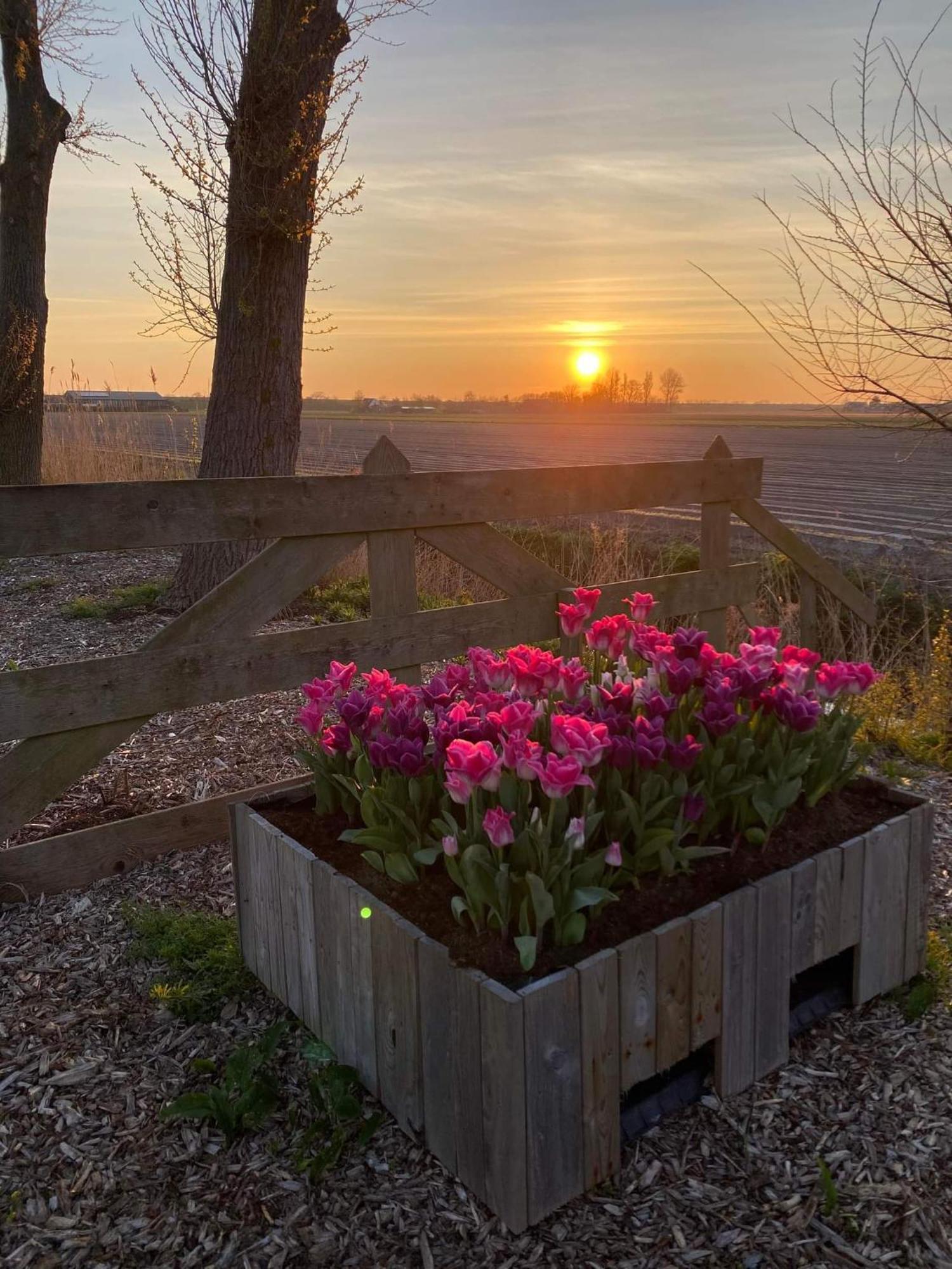 Camping De Tulpenweide Lege Kampeerplaats, Lege Plaats Op Het Gras Zonder Bed Breezand المظهر الخارجي الصورة