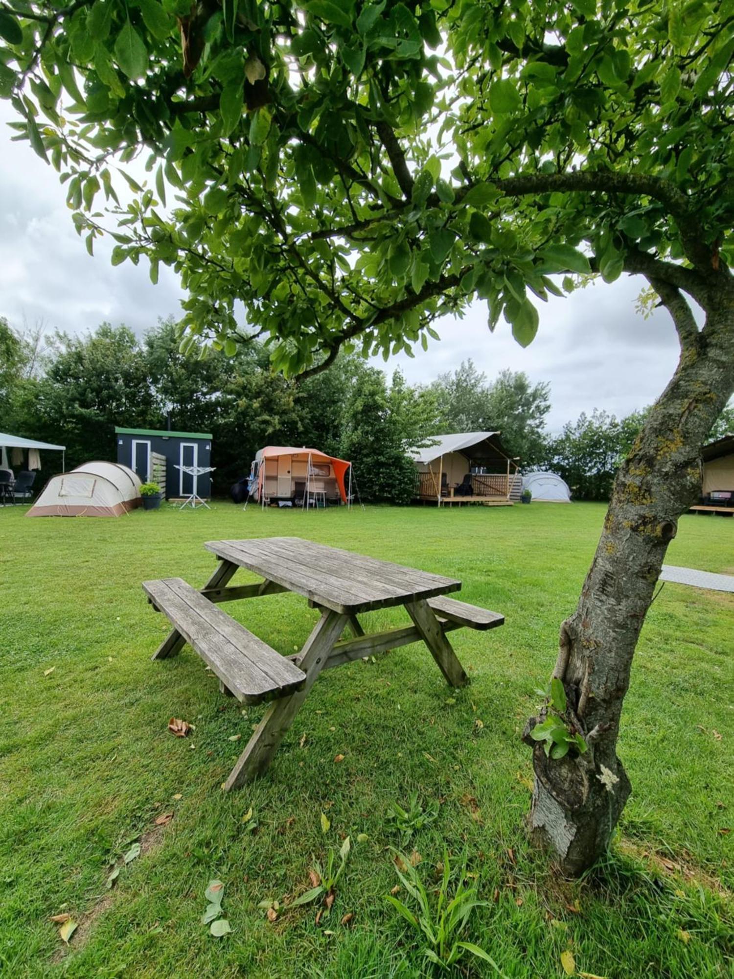 Camping De Tulpenweide Lege Kampeerplaats, Lege Plaats Op Het Gras Zonder Bed Breezand المظهر الخارجي الصورة