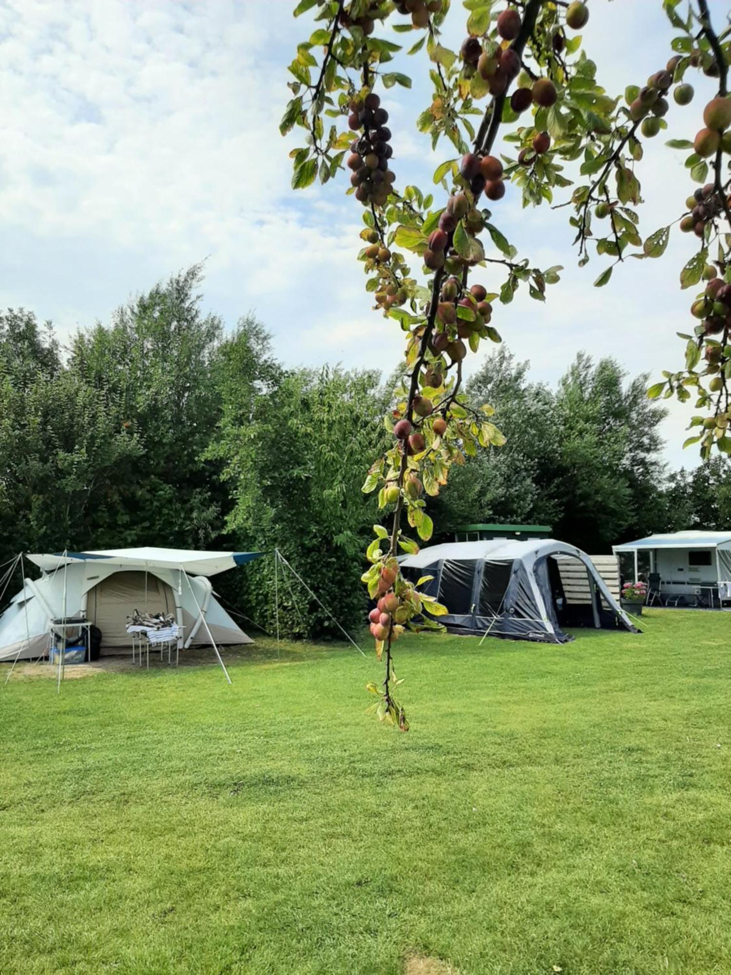 Camping De Tulpenweide Lege Kampeerplaats, Lege Plaats Op Het Gras Zonder Bed Breezand المظهر الخارجي الصورة