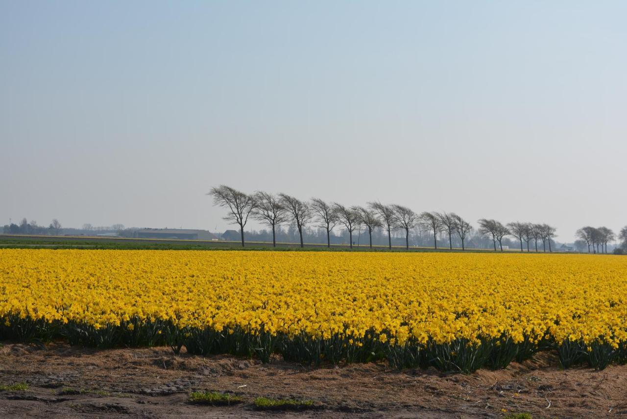 Camping De Tulpenweide Lege Kampeerplaats, Lege Plaats Op Het Gras Zonder Bed Breezand المظهر الخارجي الصورة