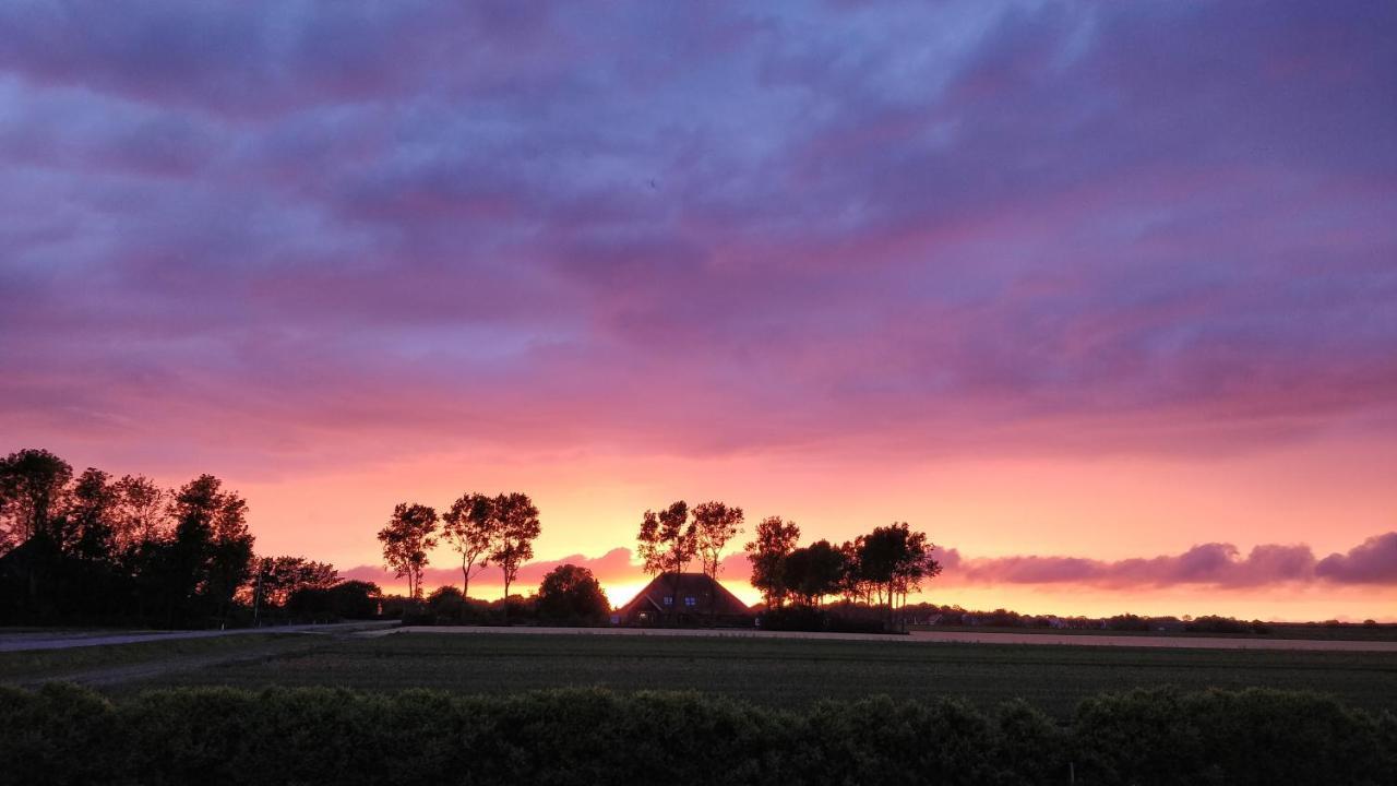 Camping De Tulpenweide Lege Kampeerplaats, Lege Plaats Op Het Gras Zonder Bed Breezand المظهر الخارجي الصورة